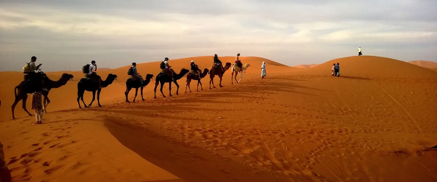 A camel caravan in the dunes of the Sahara