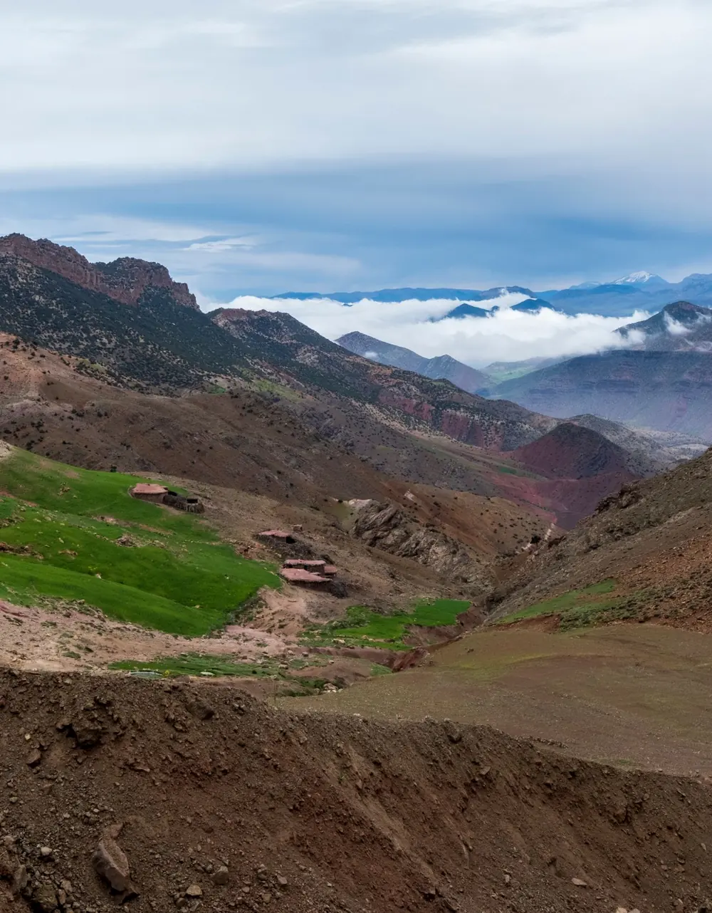 A green valley of the Atlas Mountains