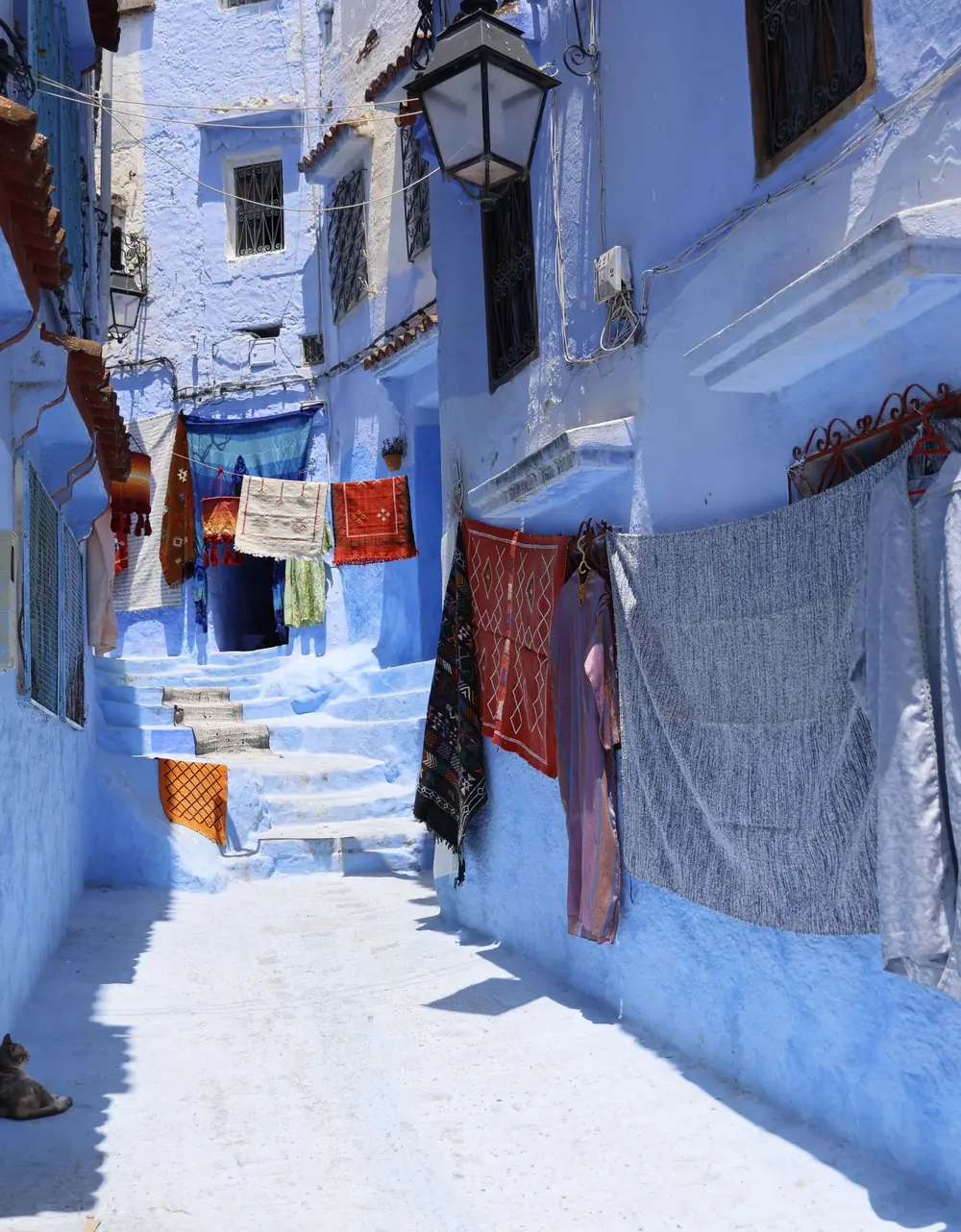 A blue lane in Chefchaouen